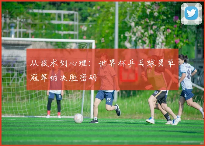 从技术到心理：世界杯乒乓球男单冠军的决胜密码